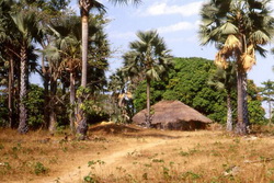 Casamance