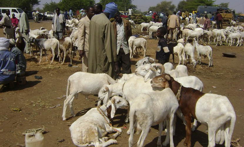 La Tabaski au Sénégal