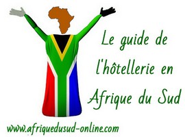 afrique du sud online