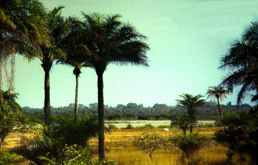 La coopération Cherbourg - Casamance renforcée