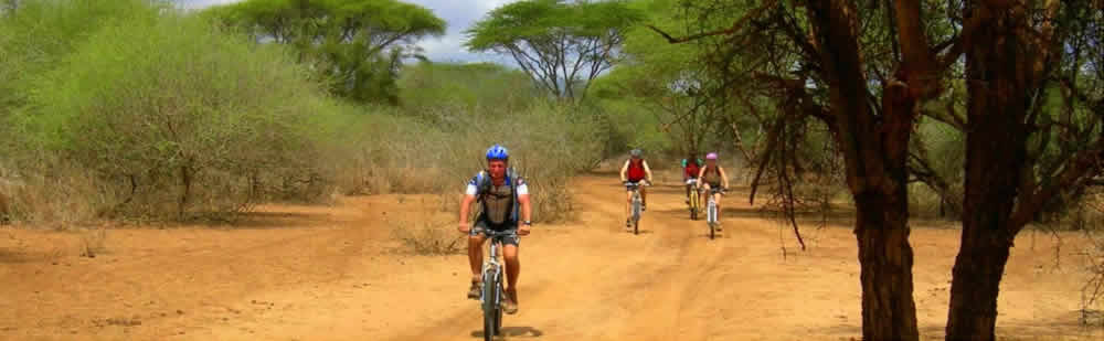 La savane à vélo