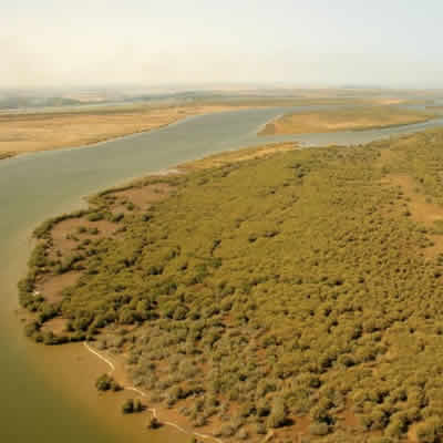 les îles du fleuve Sénégal