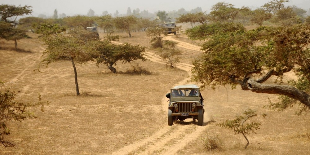 la savane en jeep