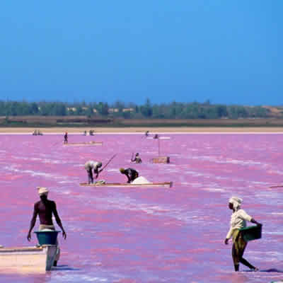 Excursion au Lac Rose