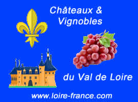 Chateaux et vignobles du val de Loire France